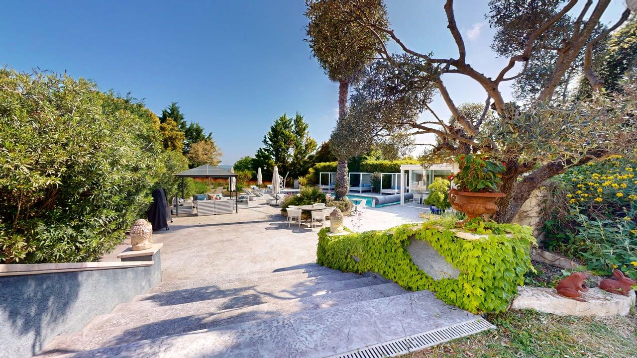 Terrasse extérieure olivier lierre jardin piscine Casa Dina Sommières